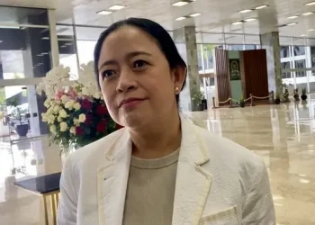 Puan Maharani Tentang Larangan Game Roblox dan Reformasi Literasi Digital Anak