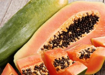5 Manfaat Biji Pepaya untuk Pencernaan dan Kesehatan Organ Vital
