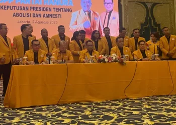 Hanura Dukung Penghapusan Tom Lembong dan Amnesti Hasto Kristiyanto, Kembali ke Hukum yang Tepat