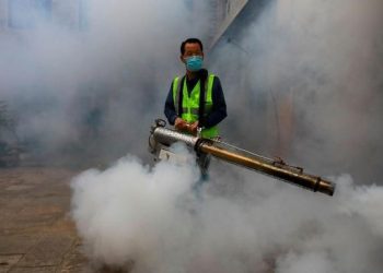 Serangan Nyamuk Ganas Menewaskan 3000 Orang, Kota Menjadi Kuburan