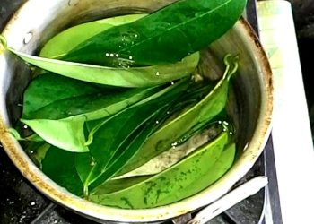 Kolesterol Naik Tanpa Gejala? Coba Rebusan Daun Sirsak untuk Darah Lebih Bersih