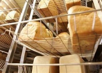 10 Jenis Makanan yang Harus Dihindari oleh Penderita Asam Urat