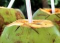 Alasan Mengapa Buah Kelapa dan 5 Makanan Ini Dilarang Dibawa ke Pesawat