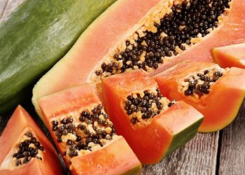7 Manfaat Biji Pepaya untuk Kesehatan dan Menurunkan Berat Badan