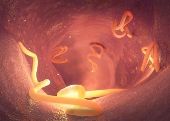 Apakah Orang Dewasa Memerlukan Obat Cacing?