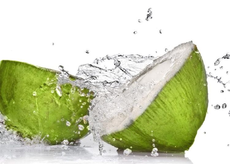 Efek Minum Air Kelapa Setiap Hari dan Hasilnya