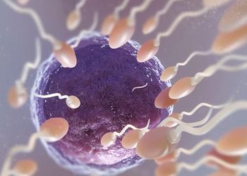 Waspada Paparan Mikroplastik Dapat Mengurangi Jumlah Sperma Pria