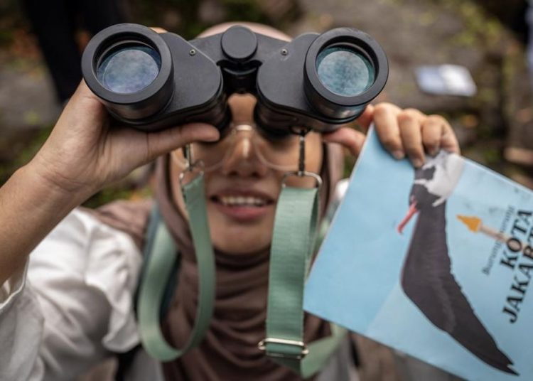 Wisata Menarik Pengamatan Burung Alam Liar di Kepulauan Seribu