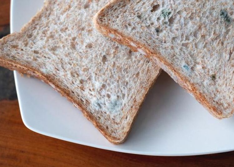 5 Efek Buruk Makanan Basi yang Sering Tidak Disadari untuk Kesehatan Tubuh