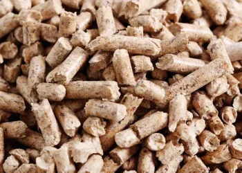 Perbankan Menekan Konsumsi Batu Bara PLTU Melalui Pembiayaan Biomassa