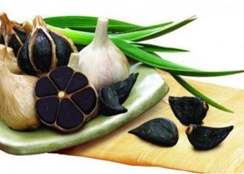 Bawang Hitam Pembawa Rezeki Rp 400 Juta Setiap Bulan