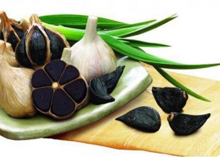 Bawang Hitam Pembawa Rezeki Rp 400 Juta Setiap Bulan