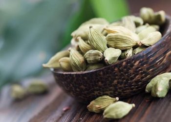 9 Manfaat Kapulaga sebagai Rempah yang Efektif Turunkan Berat Badan