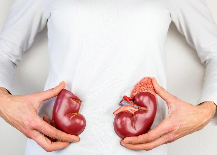 Awas Anak Muda, 8 Kebiasaan Sehari-hari Ini Dapat Merusak Ginjal