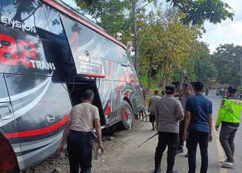 Kecelakaan Maut Bus Jember di Bromo, Ingat Pentingnya Penggunaan Sabuk Pengaman