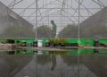 Jelajahi Green House di Atas Pasar Mayestik