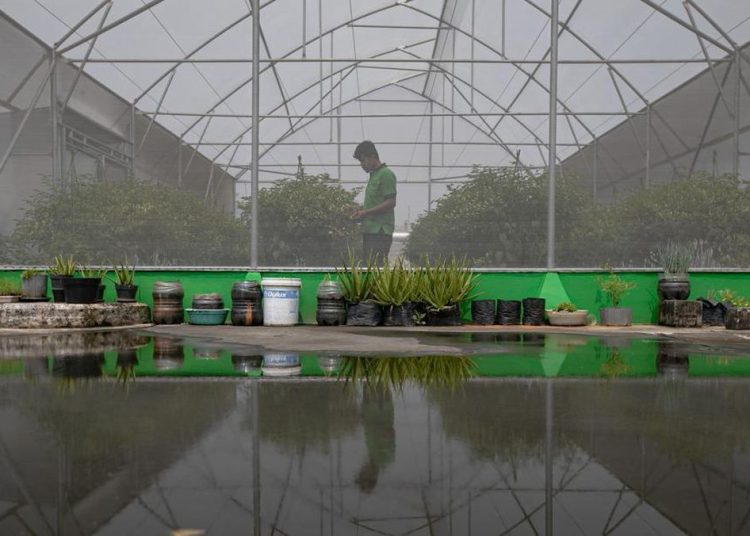 Jelajahi Green House di Atas Pasar Mayestik
