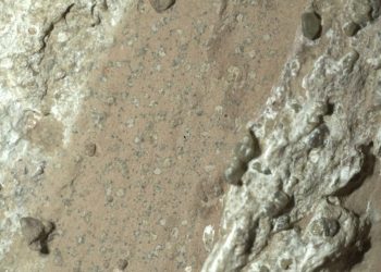 Tanda Kehidupan Paling Jelas di Mars Ditemukan oleh NASA dan Ini Buktinya