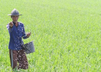 Penurunan Harga Pupuk Menandai Sejarah Baru Pertanian di Indonesia