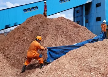 Siap Pasok 10 Juta Ton Biomassa untuk Pembangkit Listrik di 2030