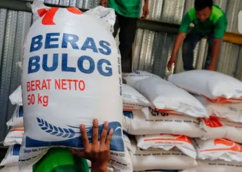 Anggota DPR Usul Bulog Setara Kementerian, Ini Respons Istana