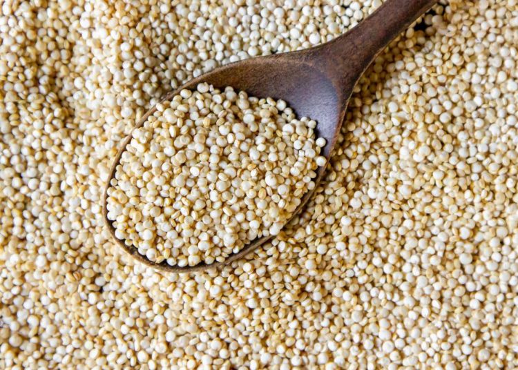 Sosis Ayam Berbasis Sorgum Tinggi Protein Ramah Bagi Pengidap Diabetes