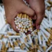 Kenaikan Cukai Rokok Sebabkan PHK Ribu Buruh