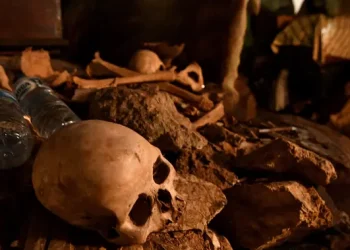 Petugas SDA Dikejutkan Temuan Tulang Manusia saat Bersihkan Saluran Air di Jakpus