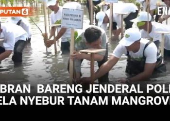 Rela Nyebur, Momen Wapres Bersama Jenderal Polisi Tanam Mangrove di Tangerang