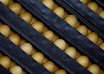 5 Jenis Makanan yang Tidak Disarankan Dimakan Bersama Telur