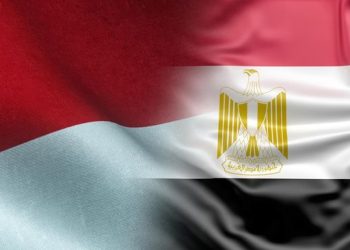 Ratusan Ribu Warga Mesir Kagumi Pemimpin RI Karena Bawa Perdamaian