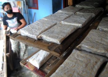 Kepastian Keamanan Konsumsi Tahu dan Tempe