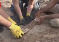 Fosil Dinosaurus Berusia 70 Juta Tahun Ditemukan di Argentina