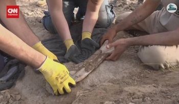 Fosil Dinosaurus Berusia 70 Juta Tahun Ditemukan di Argentina