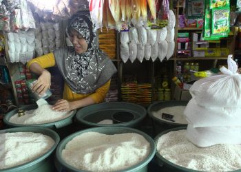 Harga Beras Dipastikan Stabil Menjelang Natal dan Tahun Baru
