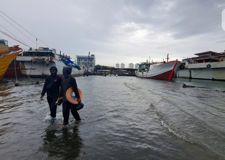 Banjir Rob Menggenangi Wilayah Pesisir Jakarta, 6 RT dan 1 Ruas Jalan Terendam