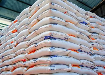 Produksi Beras Indonesia Raih Rekor Tertinggi