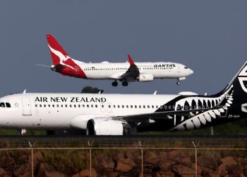 Banyak Staf Terluka, Maskapai Larang Hewan Besar di Penerbangan