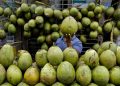 7 Waktu Terbaik Untuk Mengonsumsi Air Kelapa