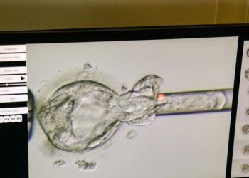 Rekor Dunia: Bayi Lahir dari Embrio yang Dibekukan Selama 31 Tahun