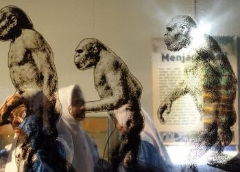 Riset Mengungkap Perubahan Bumi Tropis dan Jejak Manusia Purba