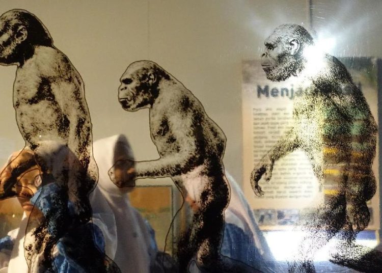 Riset Mengungkap Perubahan Bumi Tropis dan Jejak Manusia Purba