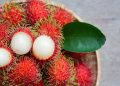 Waspadai, Kelompok Ini Sebaiknya Menghindari Makan Rambutan
