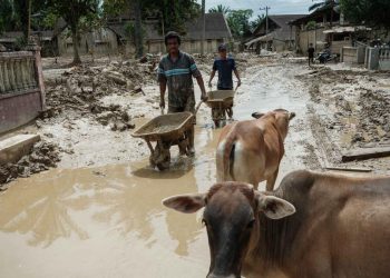 Pemkab Aceh Tamiang Usulkan Lahan Hunian Sementara Bagi Korban Bencana Menurut BNPB