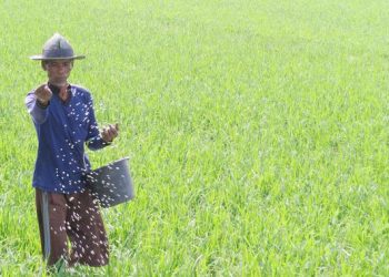 Dirombaknya Subsidi Pupuk Menjadi Titik Balik untuk Efisiensi Industri Pupuk Nasional
