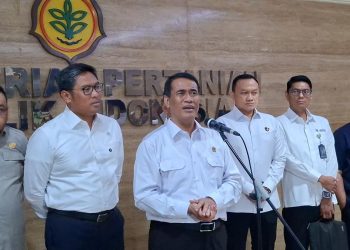 Harga Pangan Jelang Natal dan Tahun Baru Tak Boleh Naik Menurut Pernyataan Amran