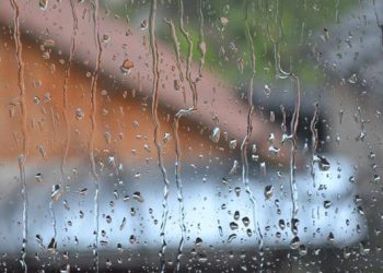 Hujan Setiap Hari, 7 Cara Menjaga Imunitas Agar Tidak Mudah Sakit