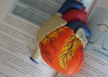 Mengenal Thromboelastography TEG sebagai Pemeriksaan Pembekuan Darah untuk Terapi Pasien Jantung