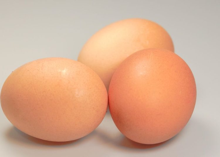 4 Kelompok Orang yang Perlu Batasi Konsumsi Telur