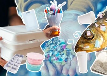 Waspada, 7 Barang Rumah yang Menjadi Sumber Paparan Mikroplastik utama